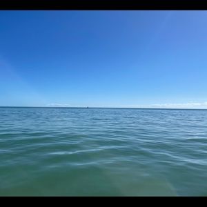 Meet your Posher, Vicki